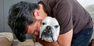 Eugenio Derbez, confirma en redes la muerte de su perrita, Fiona