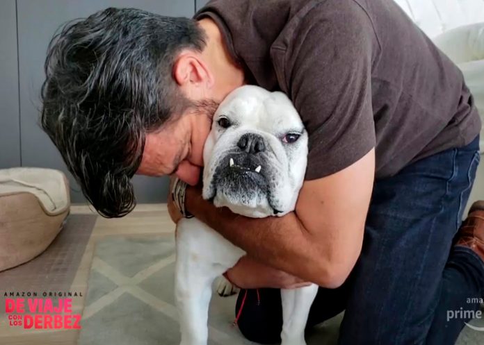 Eugenio Derbez, confirma en redes la muerte de su perrita, Fiona