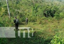 Nicaragua refuerza seguridad y ambiente con acciones del Batallón Ecológico Bosawás