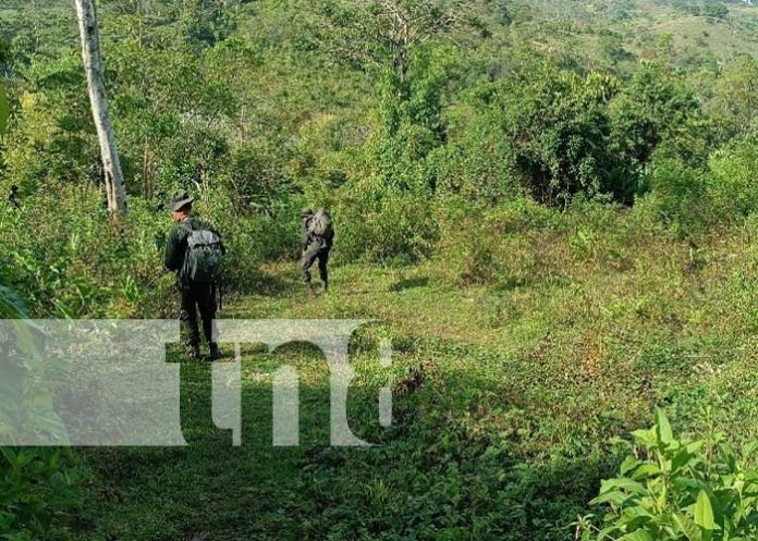 Nicaragua refuerza seguridad y ambiente con acciones del Batallón Ecológico Bosawás
