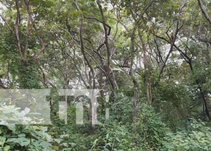 Finca agroecológica el Buen Pastor: una inversión de años en Nandaime