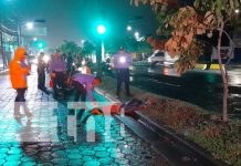 Peatón muere tras pasarle sobre su humanidad un camión en Carretera Norte