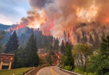 Tragedia en los Andes: Incendio forestal deja múltiples víctimas Cinco muertos y 10 heridos por incendio forestal en los Andes de Perú