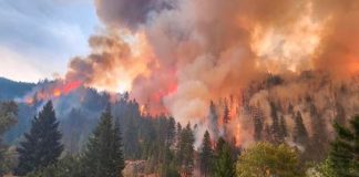 Cinco muertos y 10 heridos por incendio forestal en los Andes de Perú