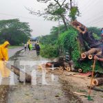 Tras varias horas lluvia colapsa árbol en una humilde vivienda en Acoyapa, Chontales Tras varias horas lluvia colapsa árbol en una humilde vivienda en Acoyapa, Chontales