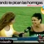 Reportera se ploma en la grama al picarles unas hormigas (video)