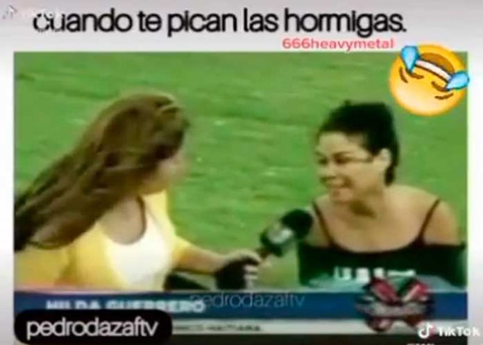 1 Reportera se ploma en la grama al picarles unas hormigas (video)