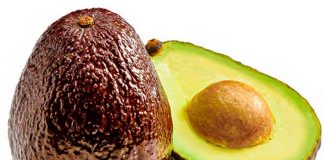 Foto: Científicos dan a conocer las propiedades y beneficios del "aguacate", lo que se ha vinculado de forma repetida a una mejor salud / Cortesía