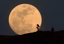 Superluna de Esturión: ¿Hora de visualización? Foto: Superluna de Esturión: ¿Hora de visualización? / Cortesía