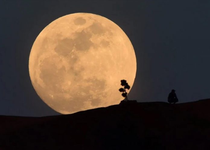 2 Foto: Superluna de Esturión: ¿Hora de visualización? / Cortesía