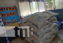 Distribuyen tercera merienda escolar en el municipio de Puerto Cabezas Foto: Distribuyen tercera merienda escolar en el municipio de Puerto Cabezas / TN8