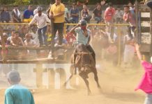 ¿Es necesario tomarse unos «pikinyukis» para montarse en un toro? Foto: ¿Es necesario tomarse unos "pikinyukis" para montarse en un toro? / TN8