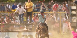 Foto: ¿Es necesario tomarse unos "pikinyukis" para montarse en un toro? / TN8