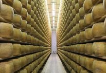 Hombre muere aplastado por ruedas de queso en Italia