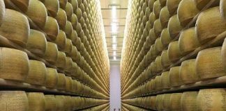 Hombre muere aplastado por ruedas de queso en Italia