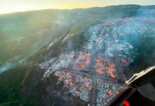 Incendios en Maui, Hawái deja 36 personas muertas Incendios en Maui, Hawái deja 36 personas muertas