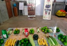 Producción sostenible en Matagalpa