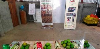 Producción sostenible en Matagalpa