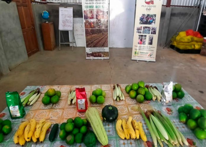 Producción sostenible en Matagalpa