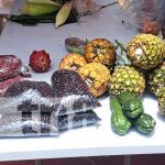 Foto: Emprendedores se dieron cita en el Parque Central del Municipio de San Marcos para participar del Festival "Mi Municipio Emprende"/TN8