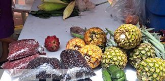 Foto: Emprendedores se dieron cita en el Parque Central del Municipio de San Marcos para participar del Festival "Mi Municipio Emprende"/TN8