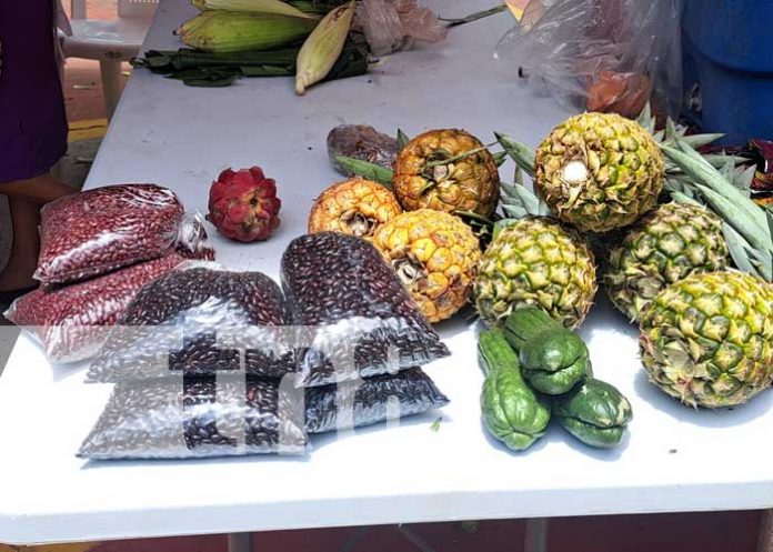 Foto: Emprendedores se dieron cita en el Parque Central del Municipio de San Marcos para participar del Festival 