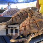 Familias degustaron de riquísimos platillos en la Feria del Mar Foto:Familias degustaron de riquísimos platillos en la Feria del Mar / TN8