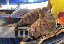 Familias degustaron de riquísimos platillos en la Feria del Mar Foto:Familias degustaron de riquísimos platillos en la Feria del Mar / TN8