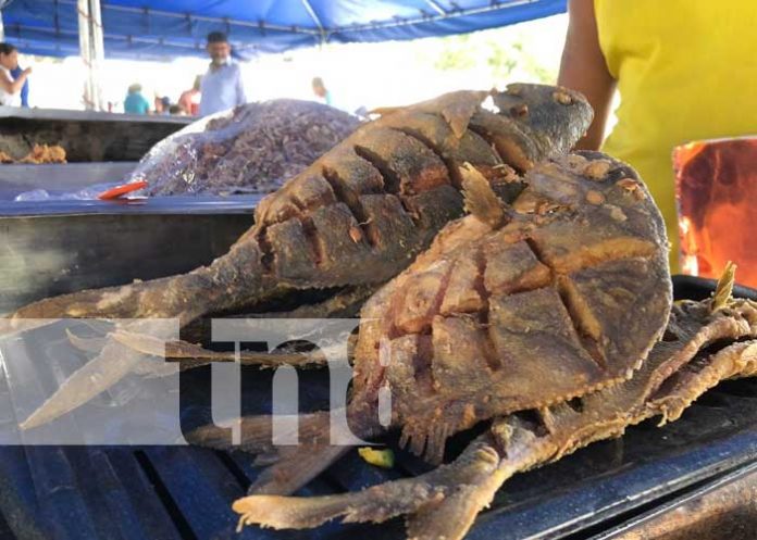 2 Foto:Familias degustaron de riquísimos platillos en la Feria del Mar / TN8