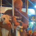¡Qué bonito! Hombre sube a su perrito a un carrusel como si fuera un niño