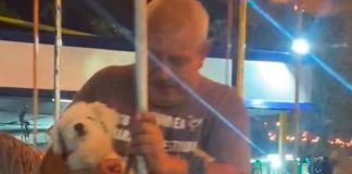 ¡Qué bonito! Hombre sube a su perrito a un carrusel como si fuera un niño