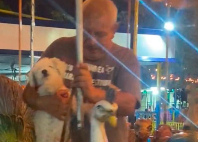 2 ¡Qué bonito! Hombre sube a su perrito a un carrusel como si fuera un niño