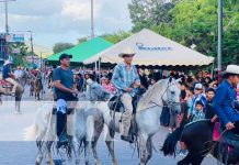 Conocé las actividades del hipismo en Nicaragua en sus 25 años Realizan hípico criollo y feria gastronómica en fiestas patronales de Palacagüina, Madriz