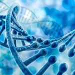 ¡Asombroso! Descubren gen que podría ayudar a los humanos a vivir más tiempo ¿Gen podría ayudar a los humanos a vivir más tiempo?