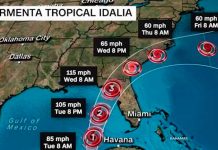 Declaran estado de emergencia en EE.UU por tormenta tropical Idalia Declaran estado de emergencia en EE.UU por tormenta tropical Idalia