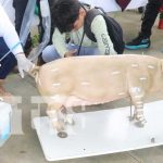 Productos y bioinsumos se producen en INATEC con estudiantes en Siuna Productos y bioinsumos se producen en INATEC con estudiantes en Siuna