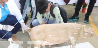 Productos y bioinsumos se producen en INATEC con estudiantes en Siuna