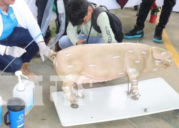 Productos y bioinsumos se producen en INATEC con estudiantes en Siuna