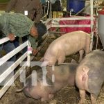 Reportan excelentes ventas en al Feria Ganadera Managua 2023