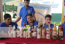 Foto: Estudiantes de programas de Gobierno se destacan en feria “Mi municipio Emprende” / TN8