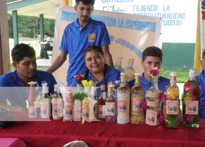 Foto: Estudiantes de programas de Gobierno se destacan en feria “Mi municipio Emprende” / TN8