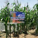 Foto: ,INTA inaugura finca de experimentación de cultivos en Granada / TN8