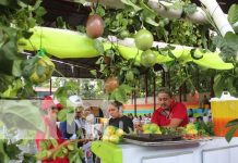 San Ramón Matagalpa realiza feria del Maracuyá Foto: San Ramón Matagalpa realiza feria del Maracuyá / TN8