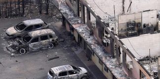 Foto: Condado de Hawái presenta demanda contra empresas eléctricas por incendio forestal / Cortesía