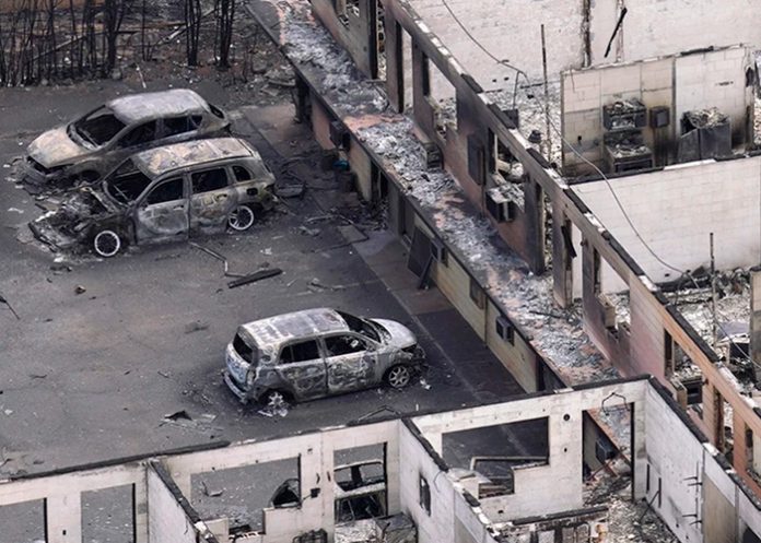 Foto: Condado de Hawái presenta demanda contra empresas eléctricas por incendio forestal / Cortesía