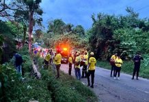 Un camión cayó en un barranco dejando cinco muertos en Jucuapa Foto: Un camión cayó en un barranco dejando cinco muertos en Jucuapa/Cortesía