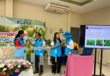 Chinandega recibe capacitación sobre producción de soya Chinandega recibe capacitación sobre producción de soya