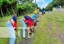 ¡Ometepe más verde! Siembran más de 100 árboles en el Oasis de Paz ¡Ometepe más verde! Siembran más de 100 árboles en el Oasis de Paz