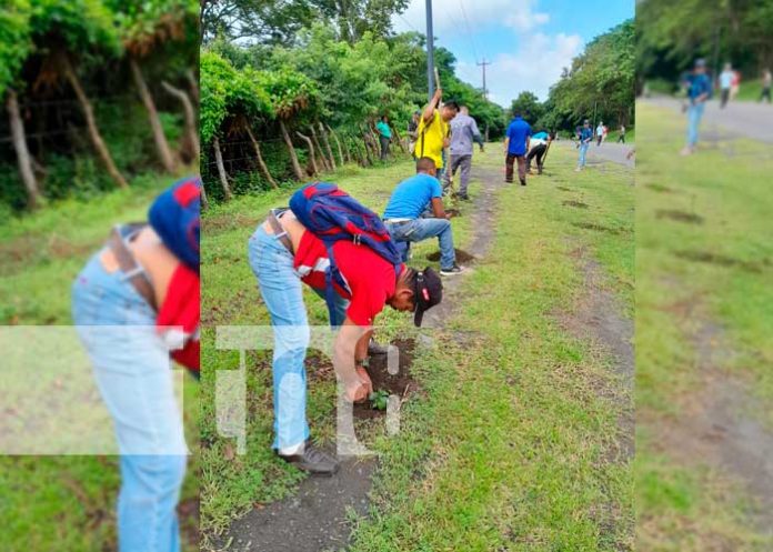 3 ¡Ometepe más verde! Siembran más de 100 árboles en el Oasis de Paz