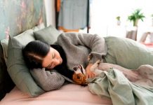Estudio indica que no es «recomendable» dejar dormir a los perros en la cama Foto: Estudio indica que no es "recomendable" dejar dormir a los perros en la cama; así lo afirman algunos expertos al realizar una investigación / Cortesía